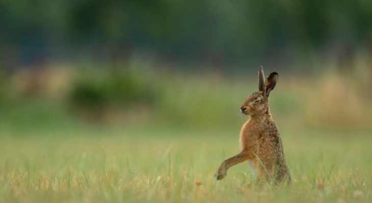 Leerzaam en bijzonder: de wildproeverij!